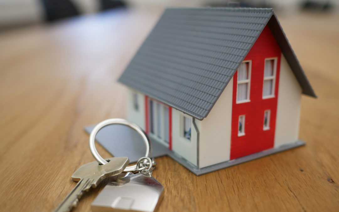 Vendre à un promoteur immobilier : quelles sont les alternatives ?